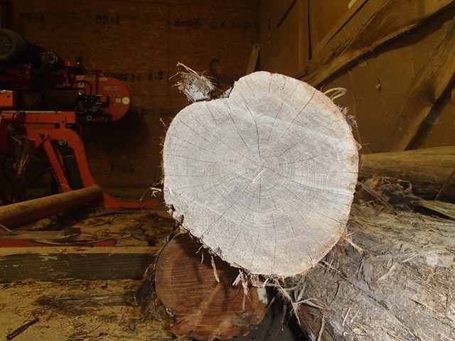 Log Stock 1