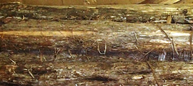 Log Stock 2